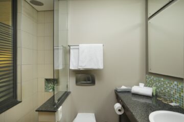 Classic Twin bathroom with walk-in glass shower, granite vanity and mosaic tiles at Metcourt Umfolozi, Empangeni